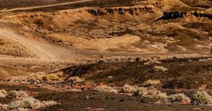 纽约大都会在 2024 年宣布其主场将增设全自动化的“亚洲美食看台”